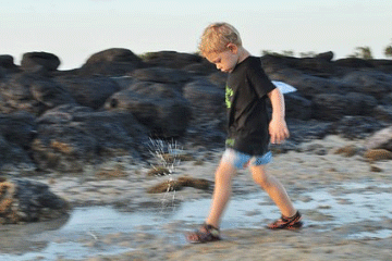 鼠年詩(shī)經(jīng)取名字男孩